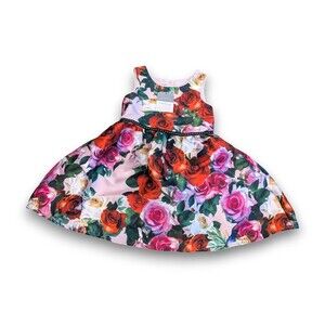 PASTOURELLE BY PIPPA & JULIE Floral Rose Print Dress Girls 3T NWT